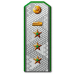 Погоны Генерал-директора 1-го ранга НКПС, обр. 1943 г.. 